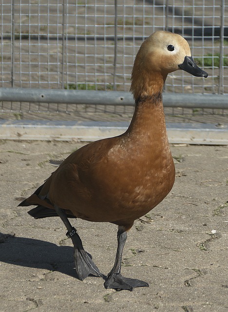 掀起关注浪
