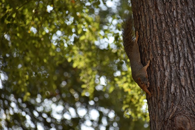 窮的新星是 窮的新星是