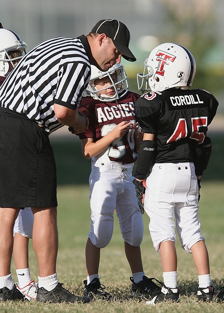奥运金牌的 奥运金牌的