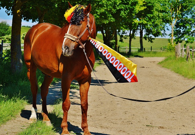 整体团队协 整体团队协