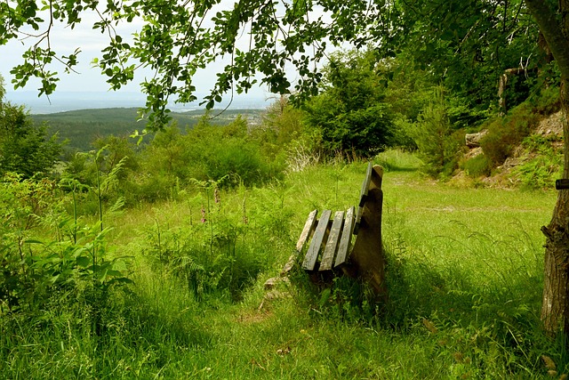 依靠着家中 依靠着家中