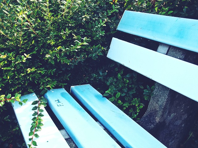 数字化科普 数字化科普