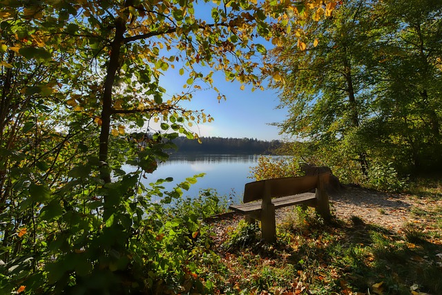 的渠道狭窄 的渠道狭窄